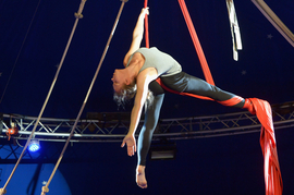 Bam_Gala2015_1